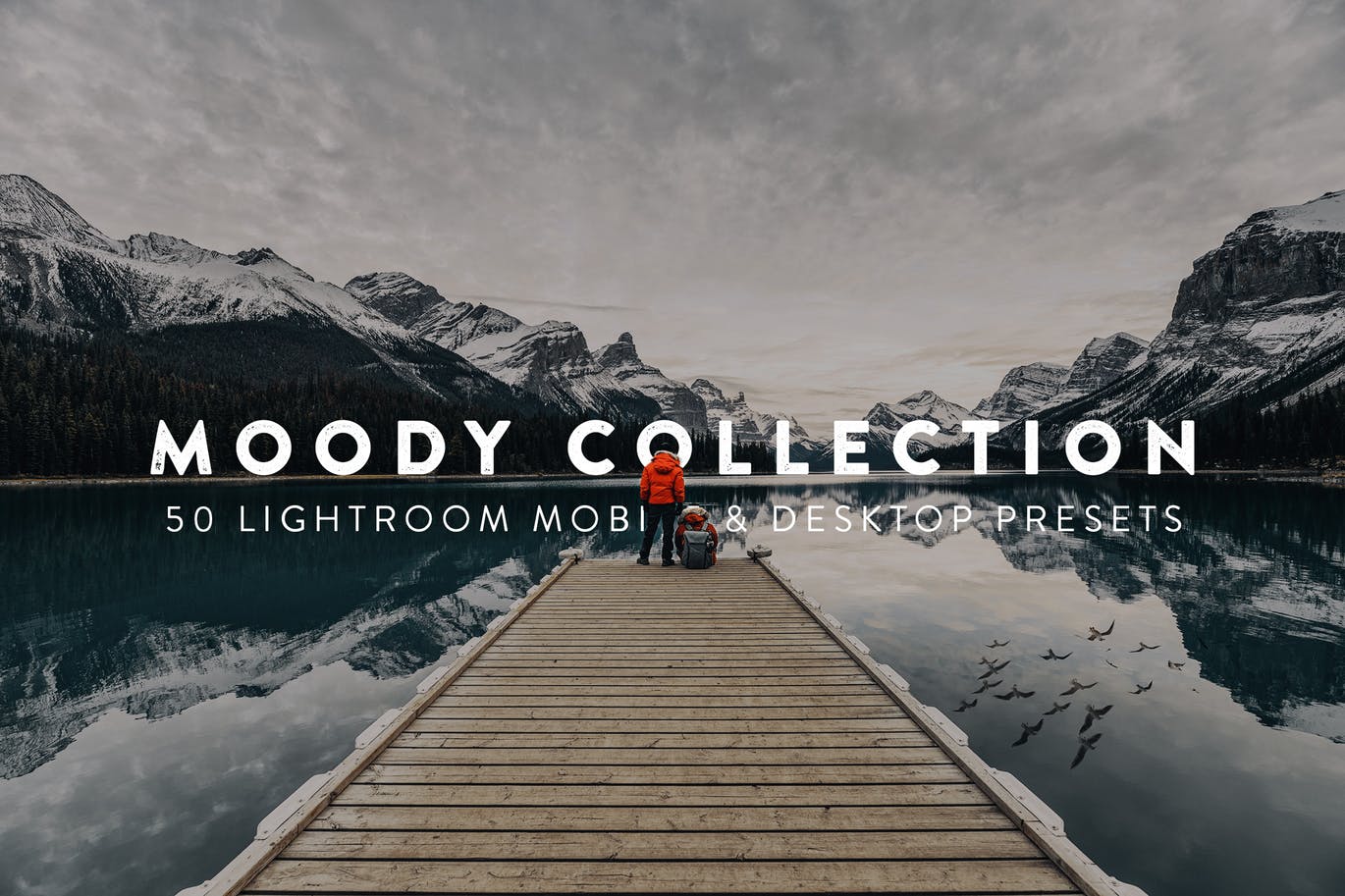 Moody Lightroom Presets and LUTs