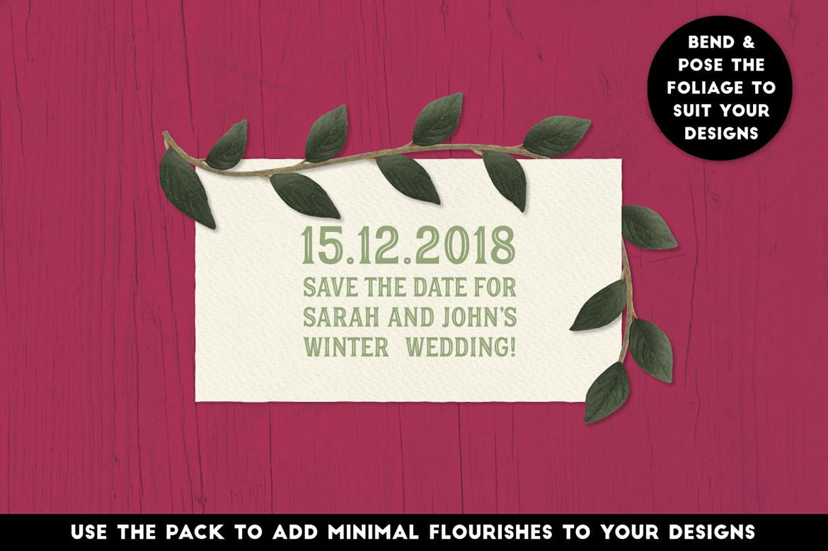 The Vector Florist - Brushes - Winter