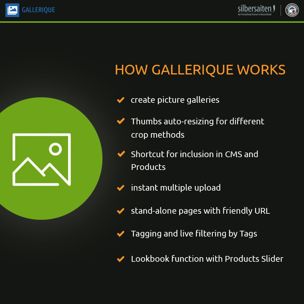 Gallerique Module