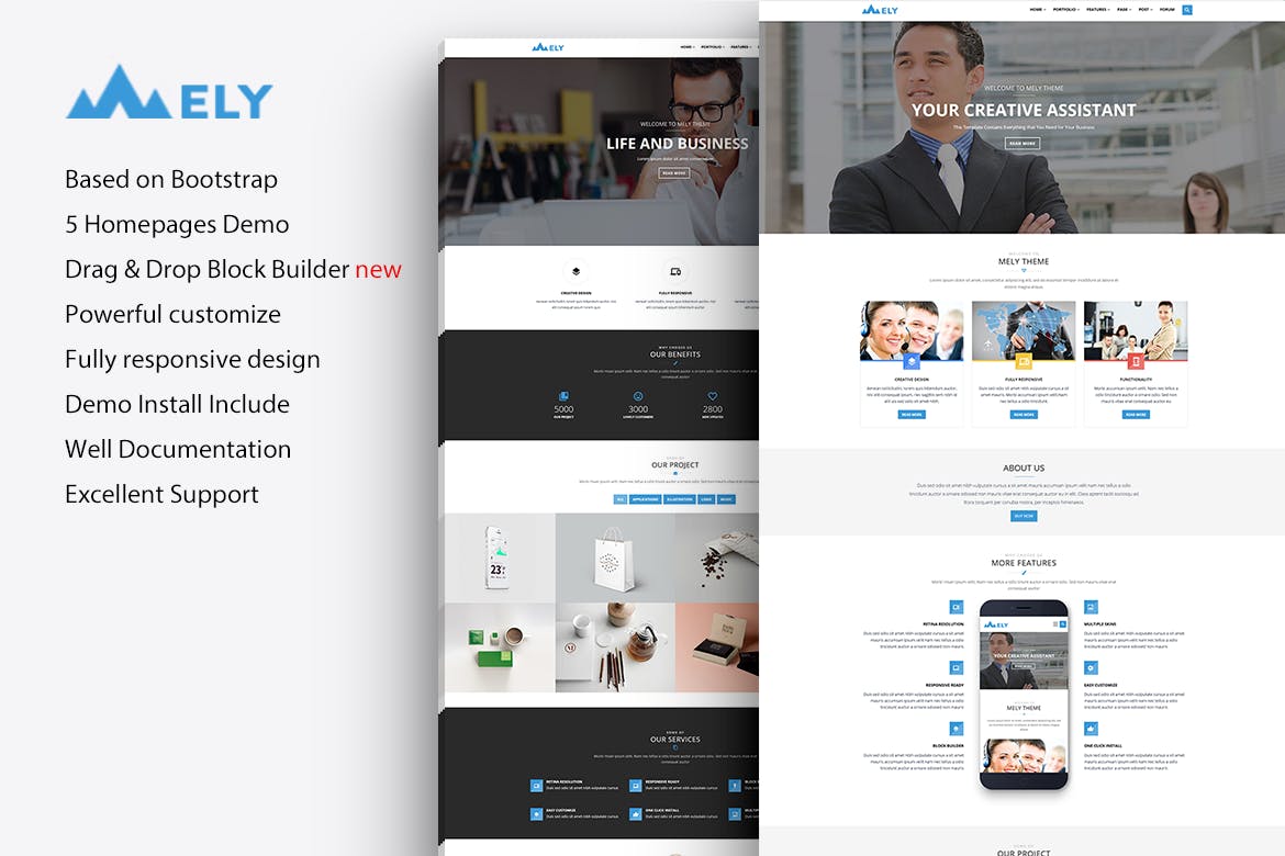 Mely - Responsive Business Drupal 7 Theme