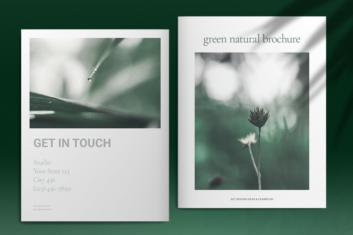 Green Natural Brochure Template