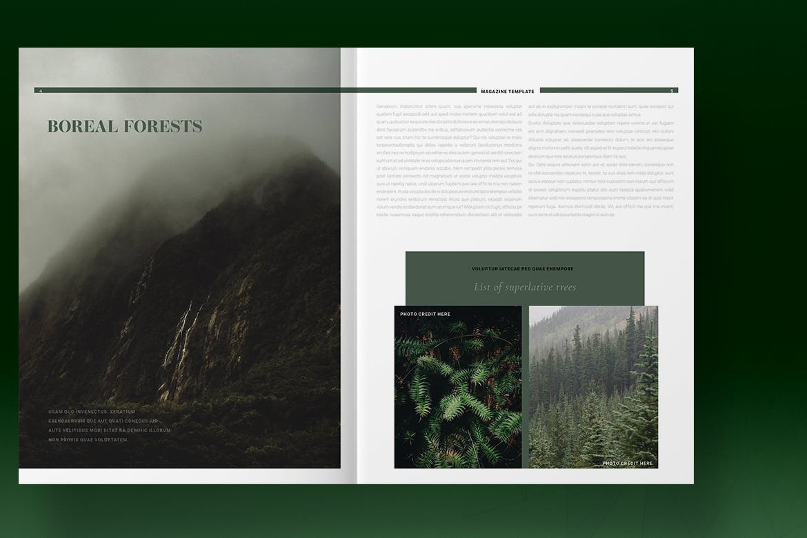 Green Natural Magazine Template