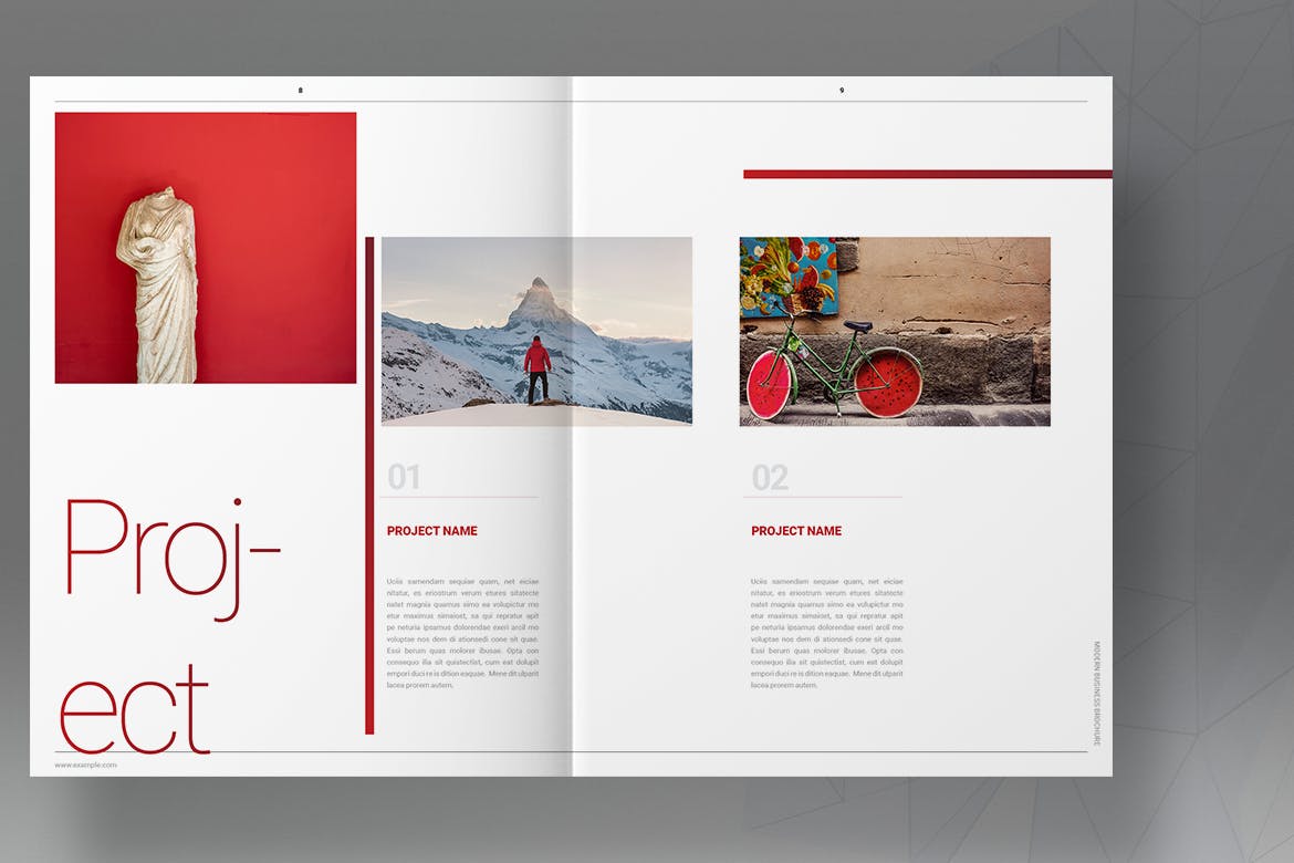 Red Company Business Brochure
