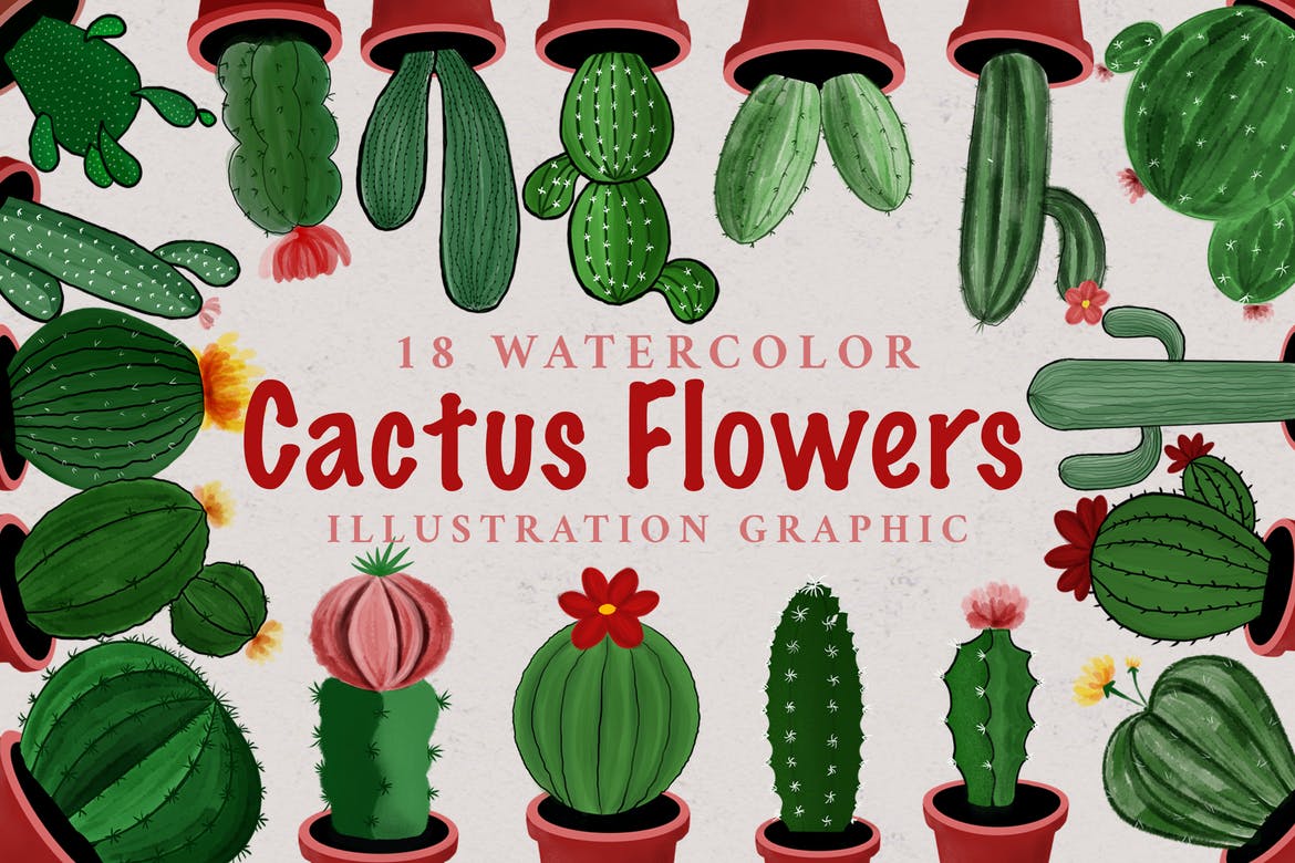 18 Watercolor Cactus