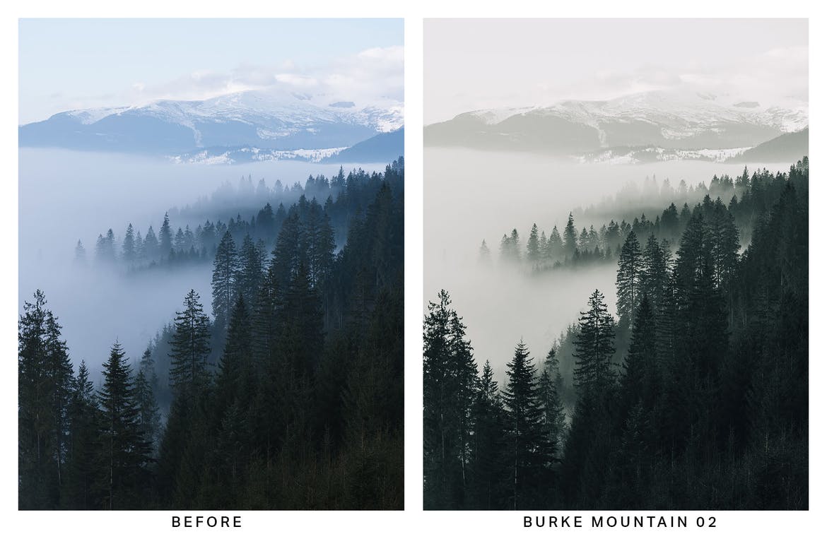 0 Foggy Morning Lightroom Presets and LUTs