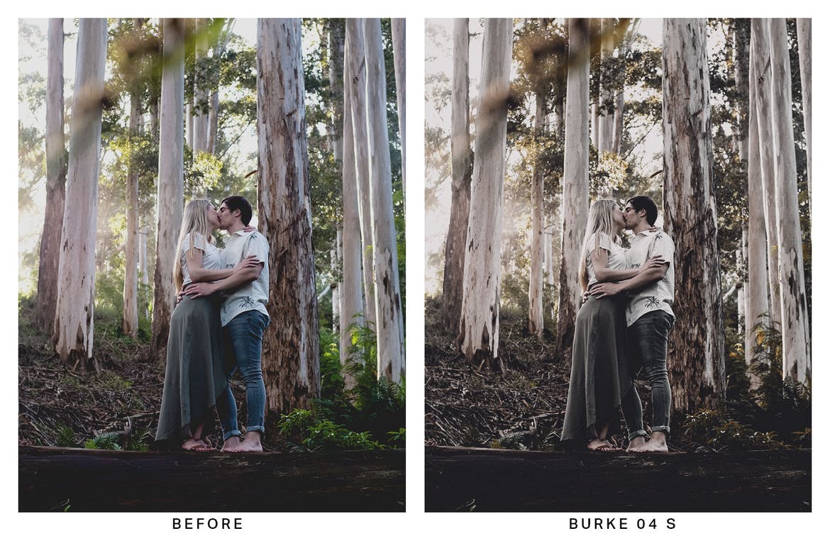 20 Moody Forest Lightroom Presets and LUTs
