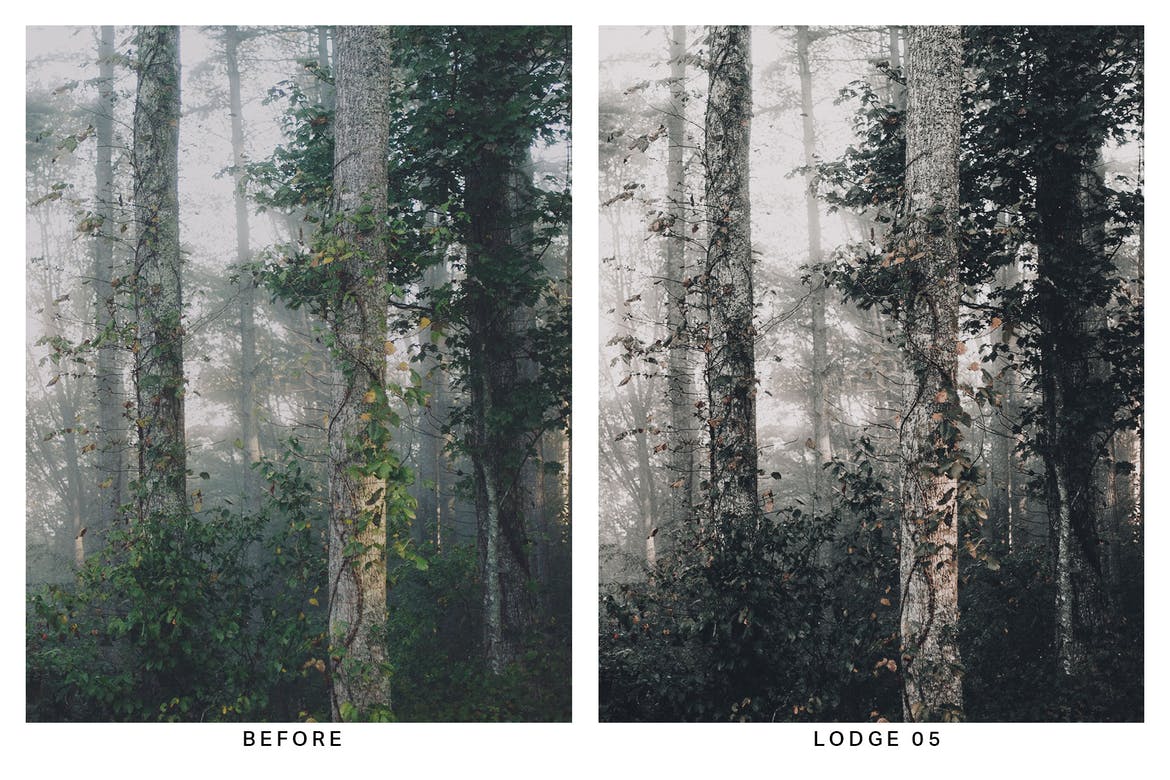 20 Moody Forest Lightroom Presets and LUTs