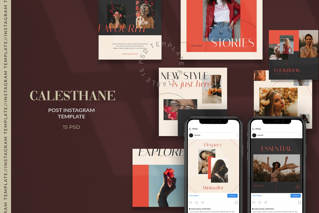 Calesthane - Fashion Instagram Post Template