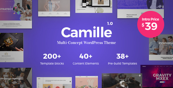 Camille v1.0.9 - Multipurpose WordPress Theme