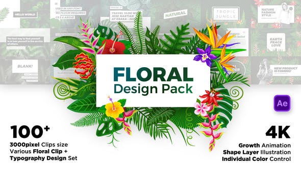 Floral Design Pack
