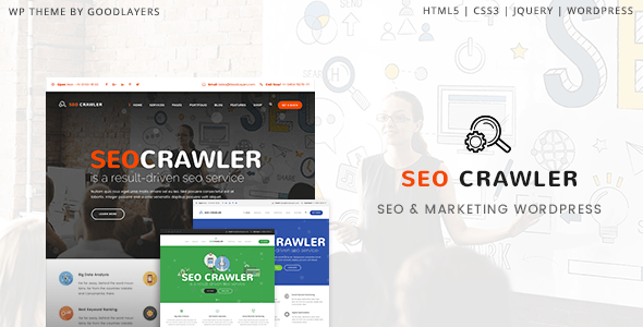 SEO Crawler v2.0.2 - template for SEO agency WordPress