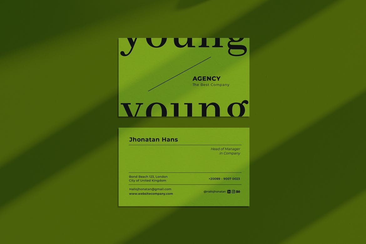 Young Agency Business Card