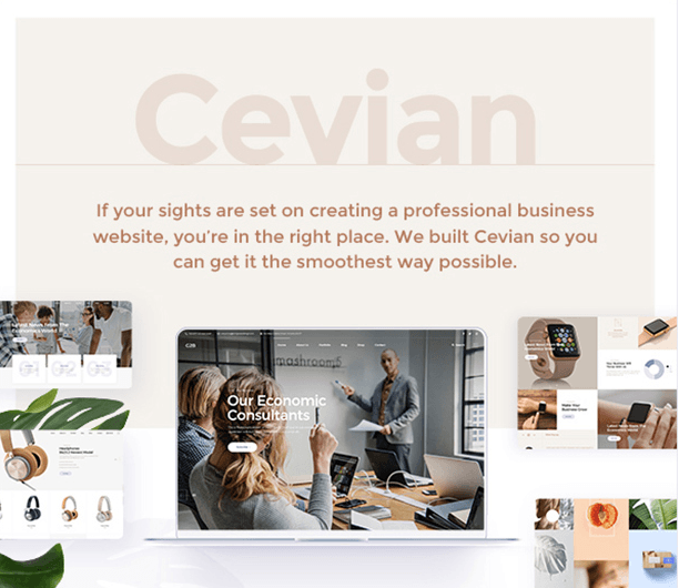 Cevian v1.0 - Business WordPress Template