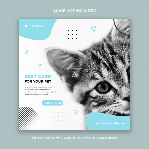 Pet shop post template or square banner
