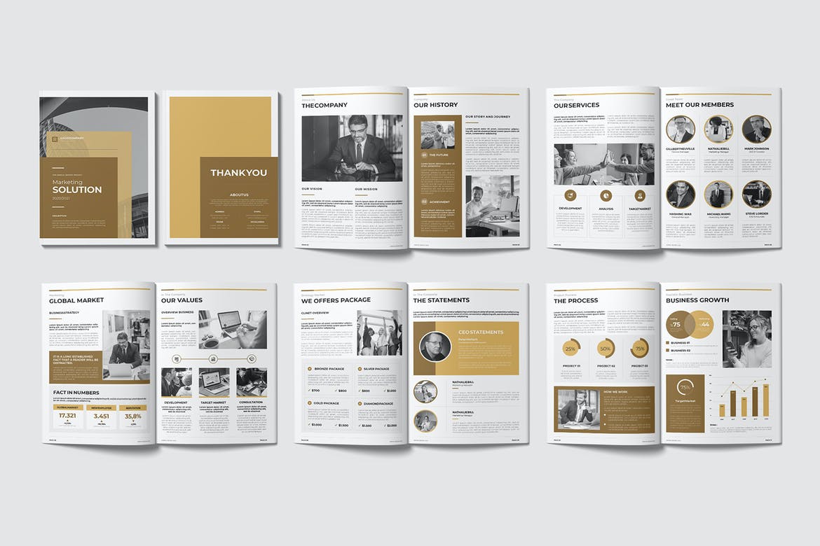 Marketing Solution - Annual Report