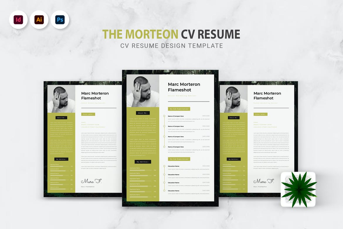 Morteron CV Resume