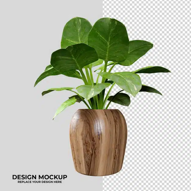 Rendering plant and logo mockup decoration Premium Psd