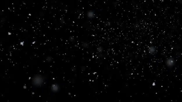 3d rendering. realistic snow falling on black background. Premium Photo