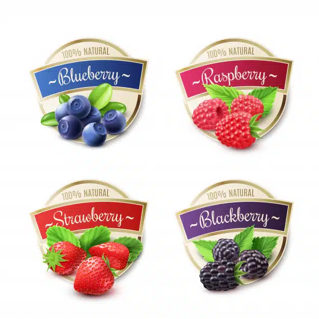 Berry labels set Free Vector