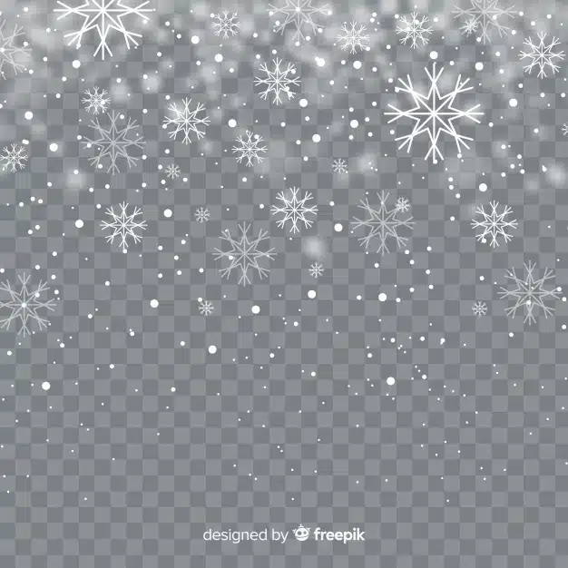 Realistic falling snowflakes in transparent background Premium Vector