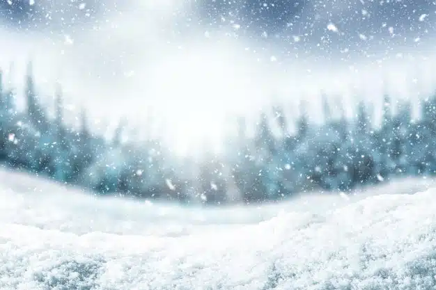Snow background and tree Premium Photo