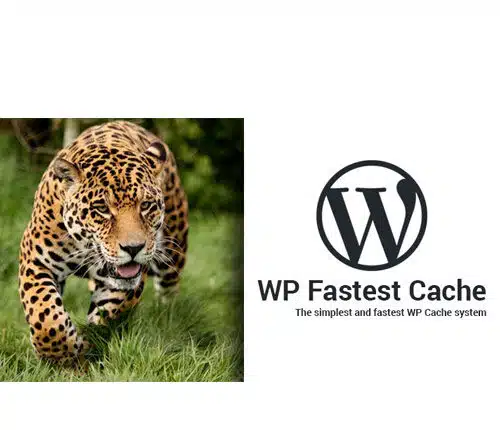 WP Fastest Cache WordPress