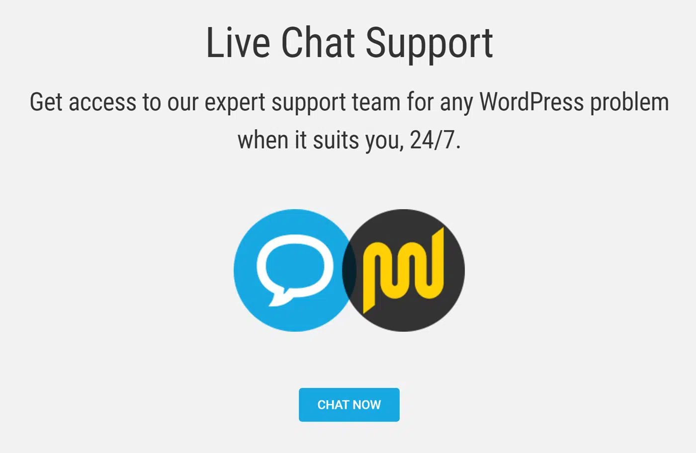 WPMU DEV WordPress Chat