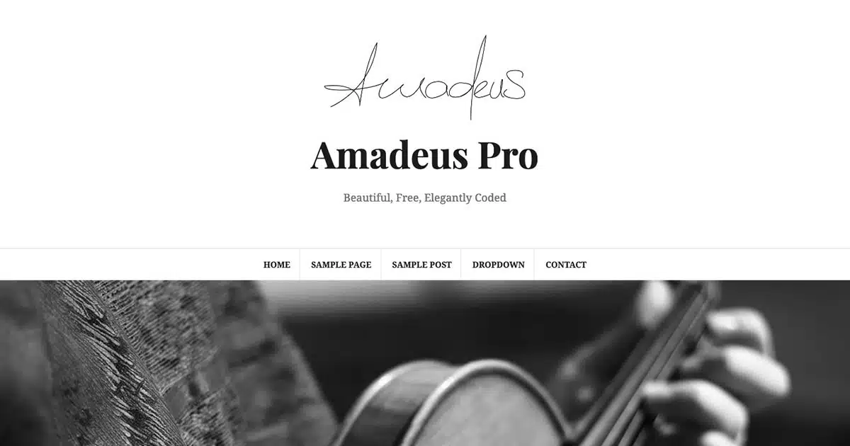 Amadeus Pro WordPress Theme