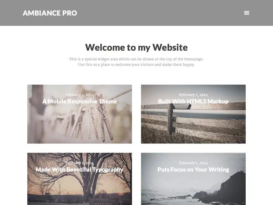 Ambiance Pro Theme WordPress theme