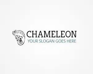 Elegant Themes Chameleon