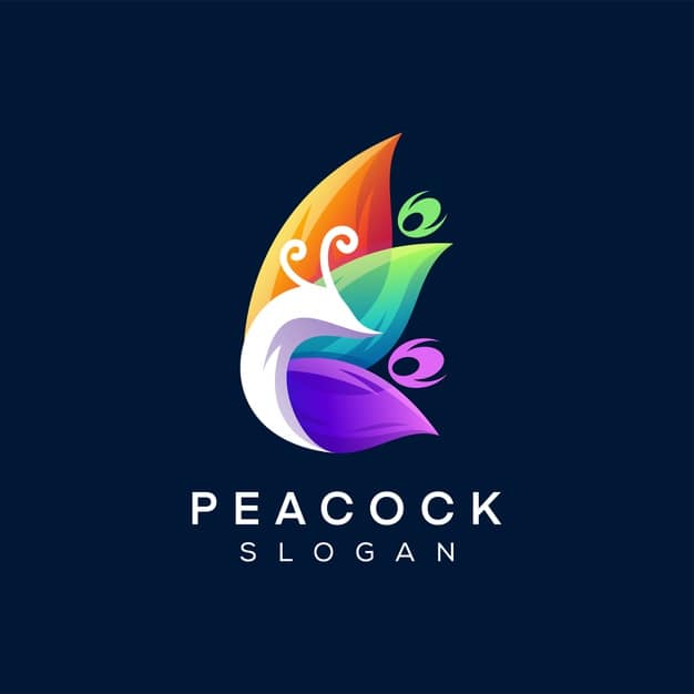 Peacock color gradient logo design Premium Vector
