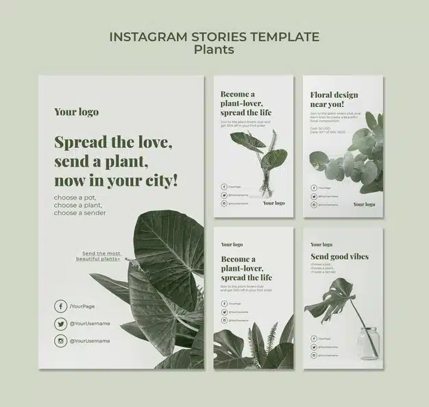 Plants instagram stories Free Psd