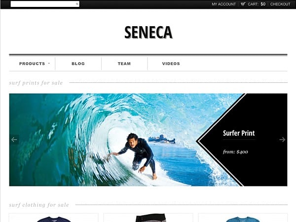 Seneca WordPress website template