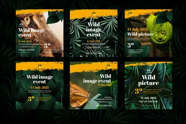 Wild nature instagram posts Premium Vector