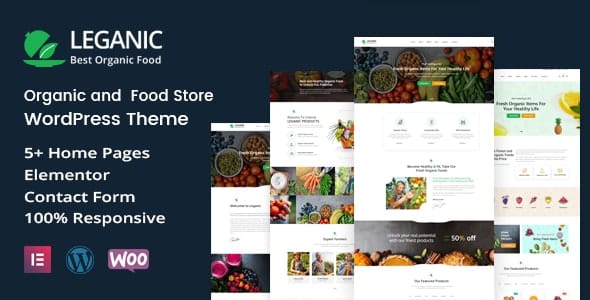 Leganic 1.2 – Organic and Food Store WordPress Theme