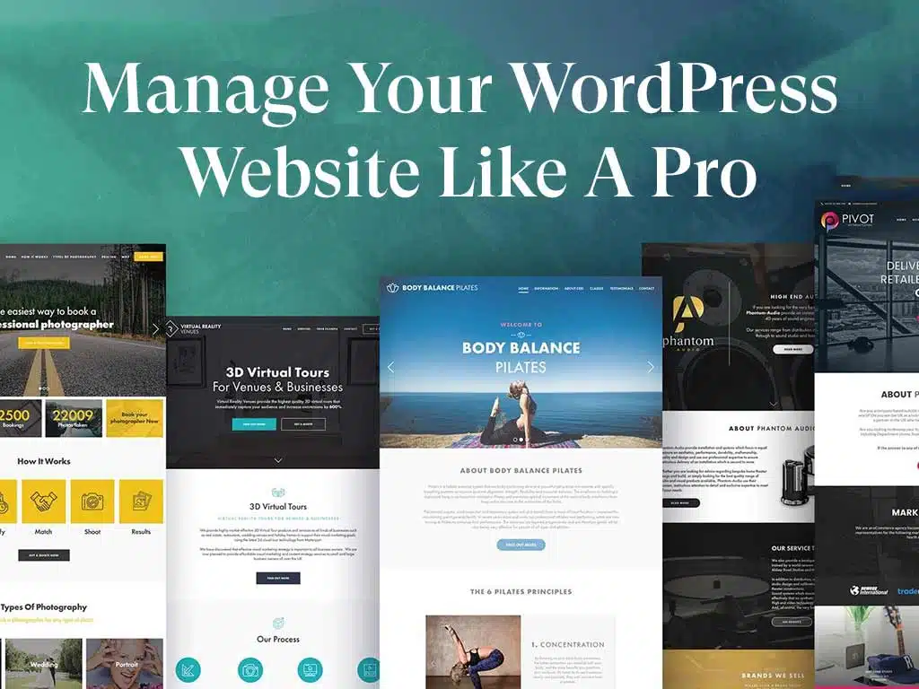 Manage Your WordPress Website Like A Pro