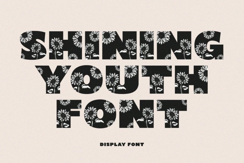 Shining Youth Font